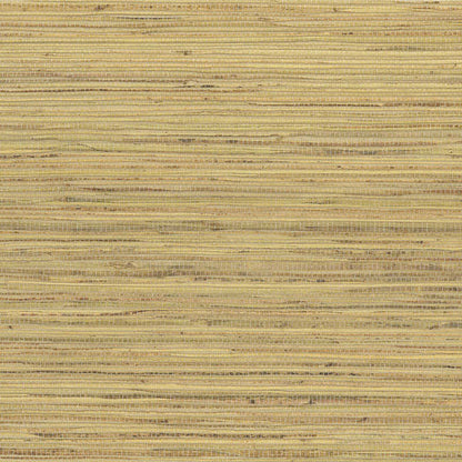 Hemp Revolution - 100% Hemp Wallpaper - Tatami Mat