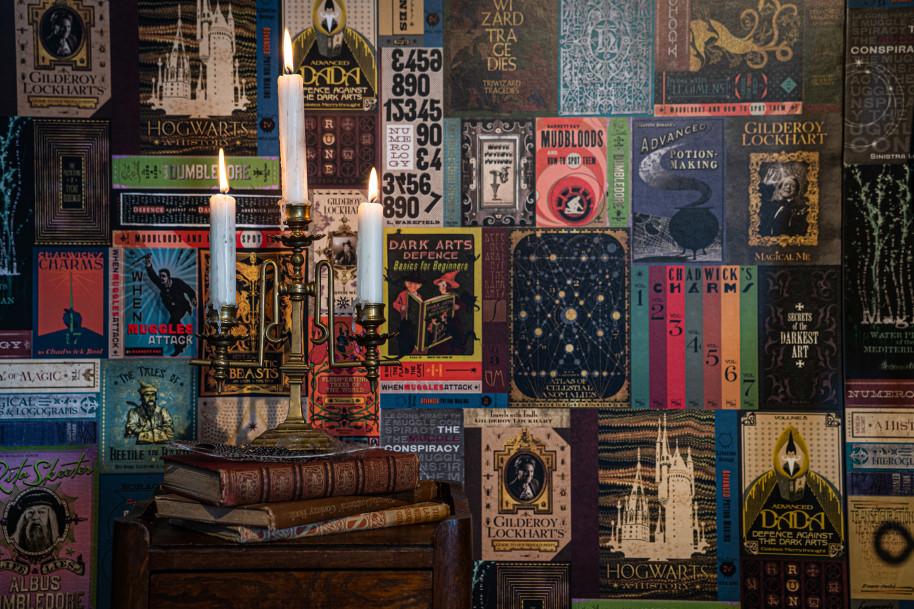 Sample - Hogwarts Library Wallpaper - Harry Potter