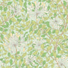 Honeysuckle Leaf Trail - Ohpopsi - Duck Egg Blue