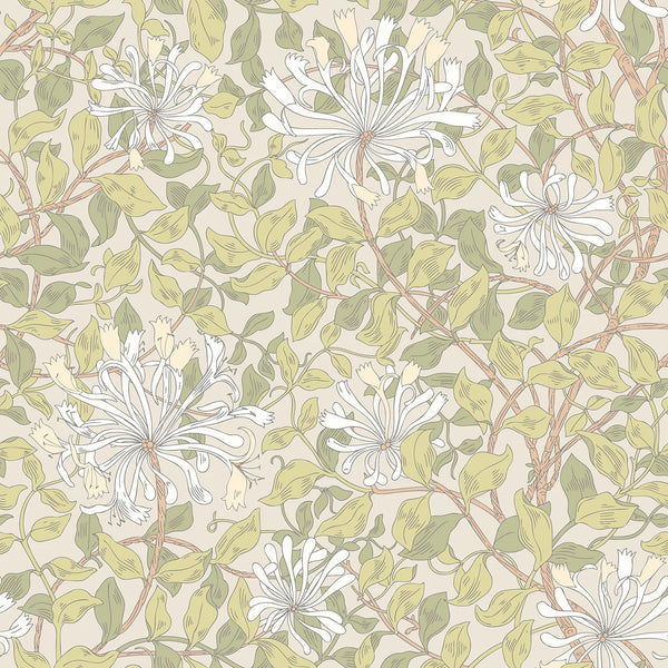 Sample - Honeysuckle Leaf Trail - Ohpopsi - Stone Natural