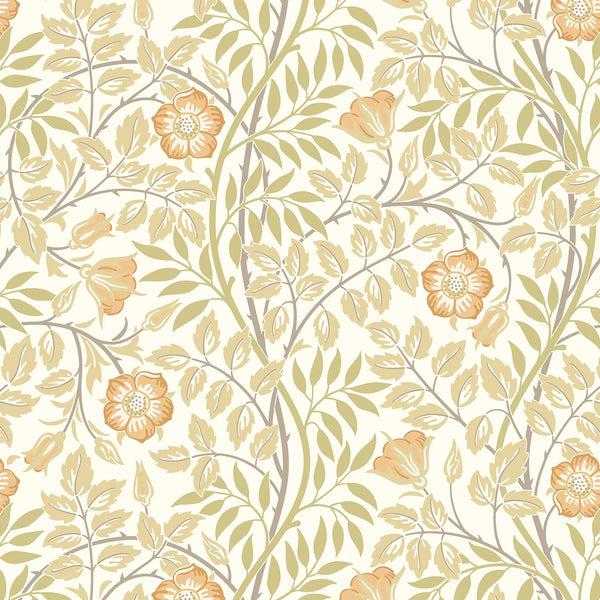 Sample - Rosehip Trail Wallpaper - Ohpopsi - Soft Amber