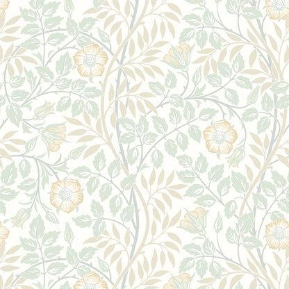 Rosehip Trail Wallpaper - Ohpopsi - Soft Mint