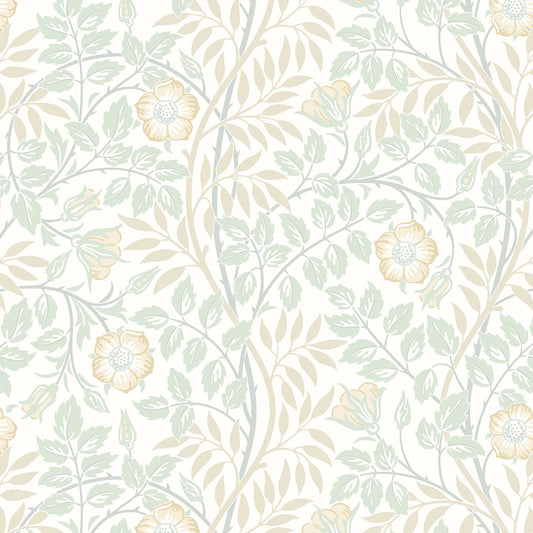 Rosehip Trail Wallpaper - Ohpopsi - Soft Mint
