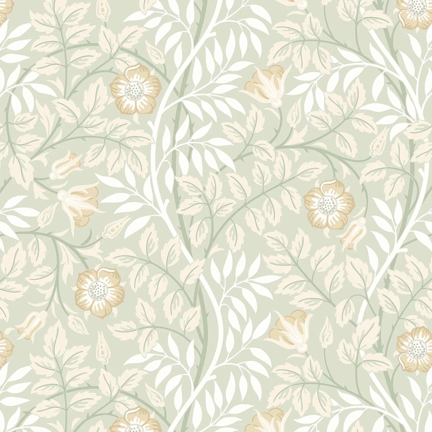 Rosehip Trail Wallpaper - Ohpopsi - Sage Green
