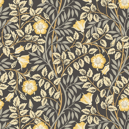 Rosehip Trail Wallpaper - Ohpopsi - Chalkboard