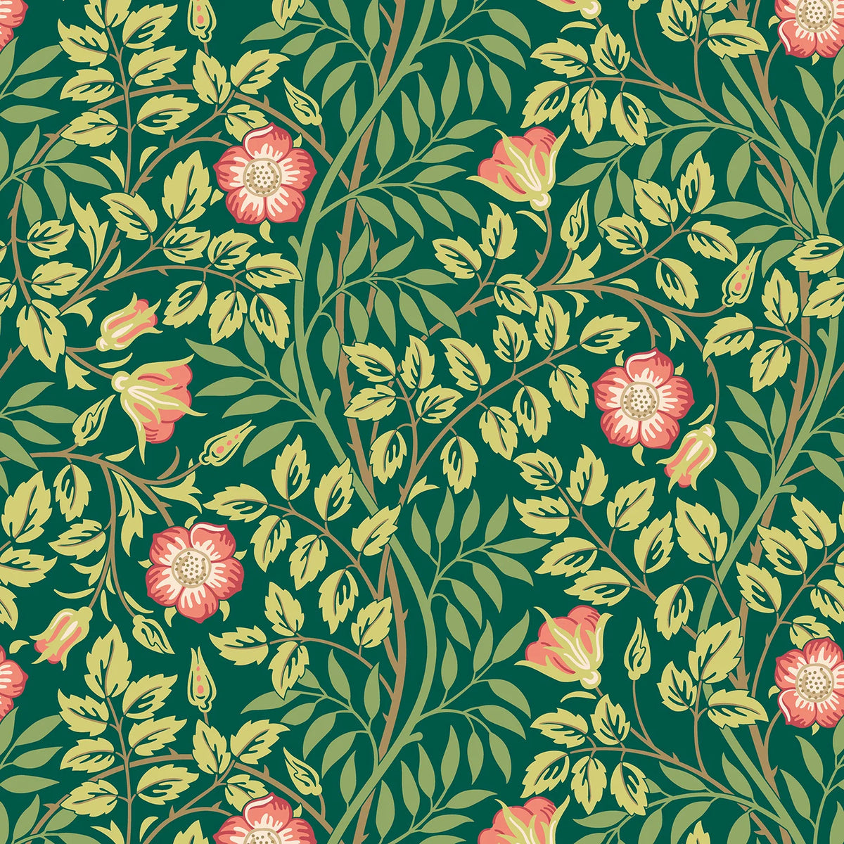 Sample - Rosehip Trail Wallpaper - Ohpopsi - Forest Green