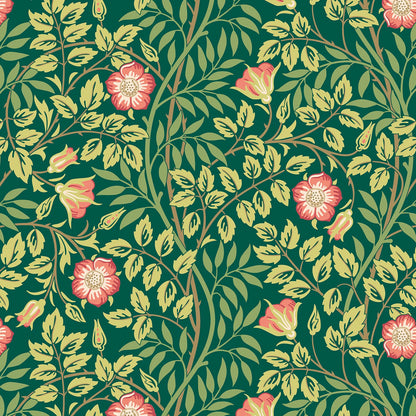 Rosehip Trail Wallpaper - Ohpopsi - Forest Green