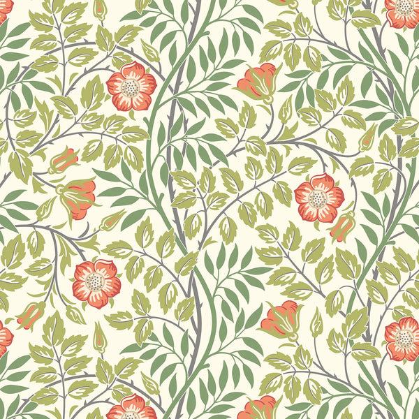 Sample - Rosehip Trail Wallpaper - Ohpopsi - Coral Pink