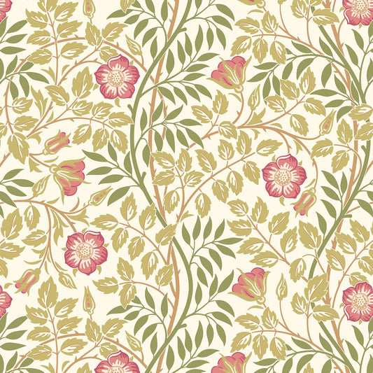 Rosehip Trail Wallpaper - Ohpopsi - Rose Pink