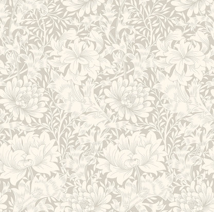 Chrysanthemum - Eden by Morris Wallpaper - Dove