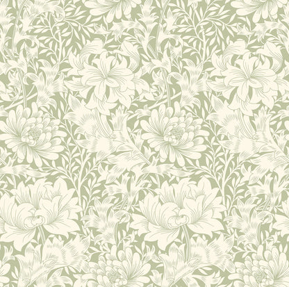 Chrysanthemum - Eden by Morris Wallpaper - Sage Green