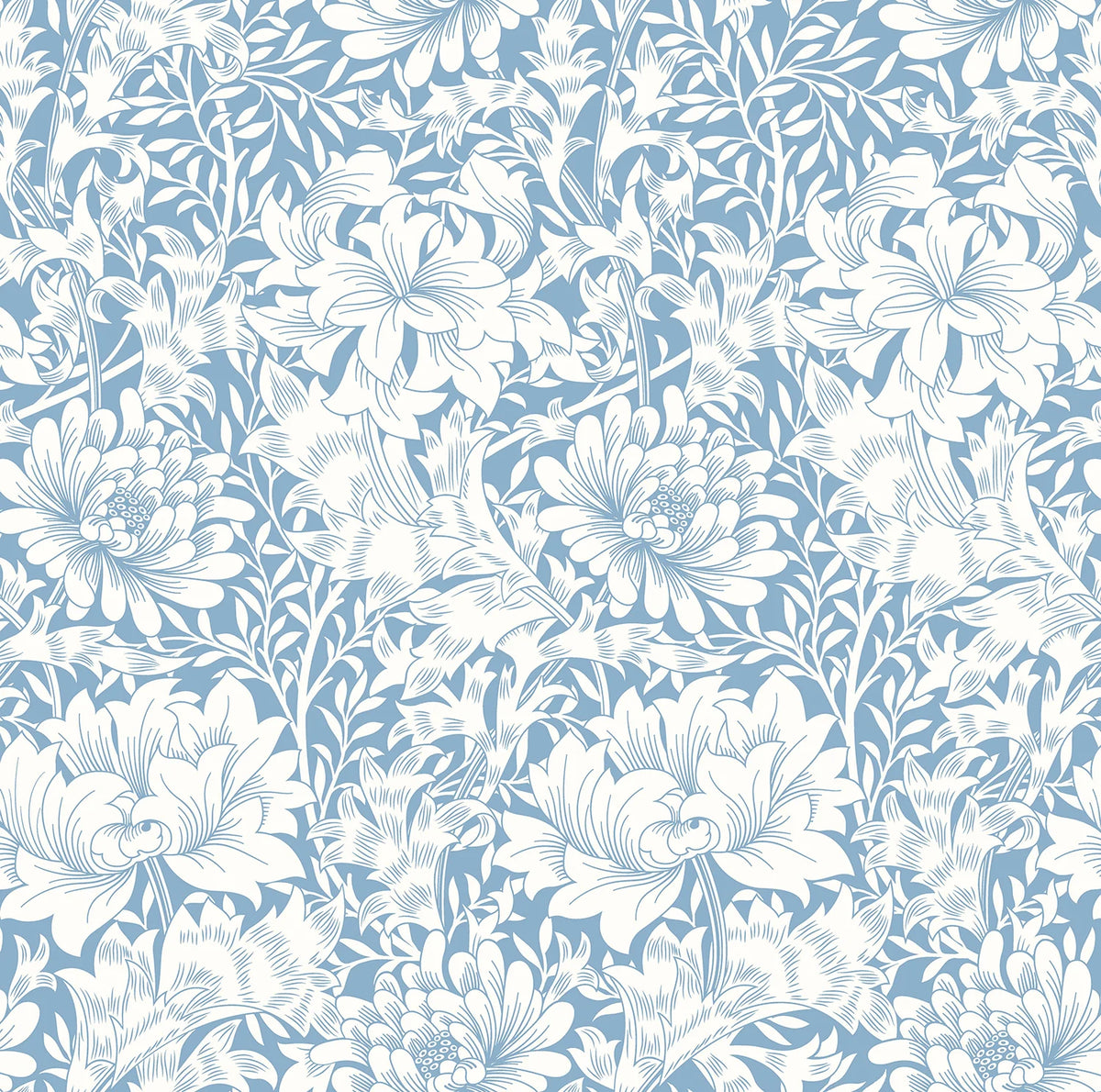 Sample - Chrysanthemum - Eden by Morris Wallpaper - Wedgewood Blue