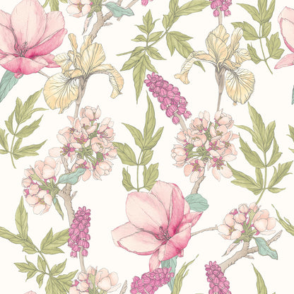 Orchid Bloom Wallpaper - Sweet Pea