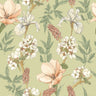 Orchid Bloom Wallpaper - Artichoke