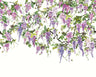 Trailing Wisteria - Hybrid Mural  - Amethyst