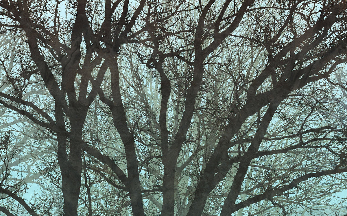 Sample – Whispering Woods - Custom Sized Wallpaper Mural (per m2)