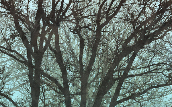 Sample – Whispering Woods - Custom Sized Wallpaper Mural (per m2)