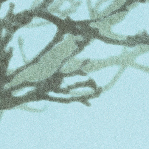 Whispering Woods - Custom Sized Wallpaper Mural (per m2)