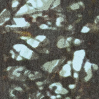Whispering Woods - Custom Sized Wallpaper Mural (per m2)