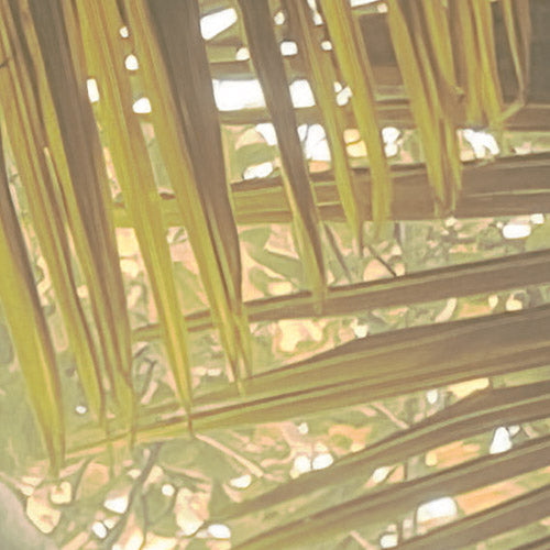 Palms Panorama - Custom Sized Wallpaper Mural (per m2)