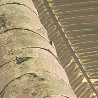 Palms Panorama - Custom Sized Wallpaper Mural (per m2)