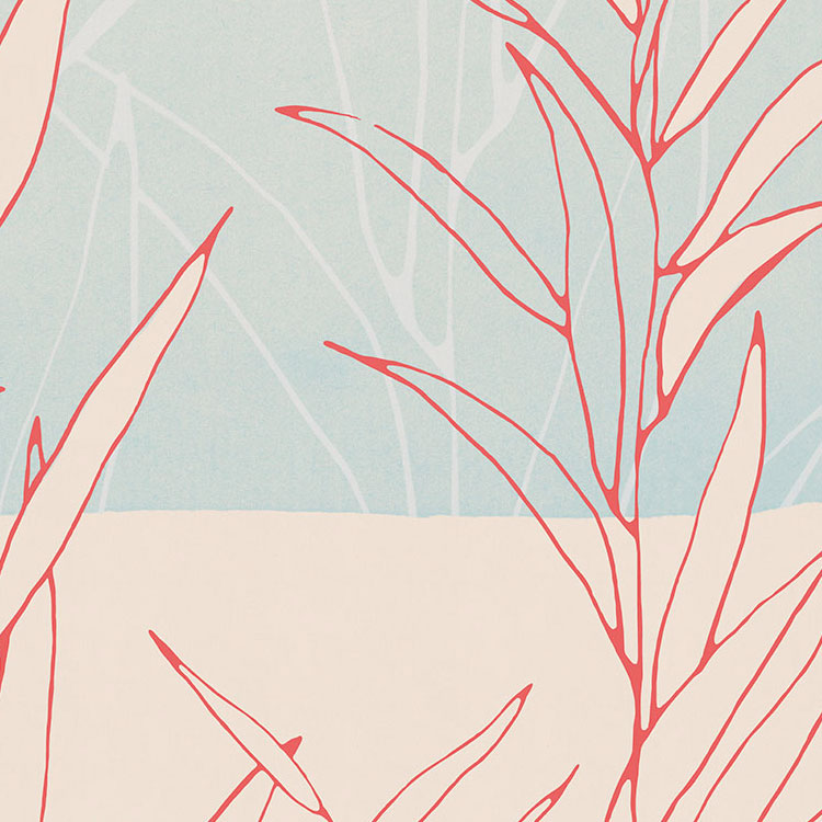 Plain - Custom Sized Mural Wallpaper (per m2)