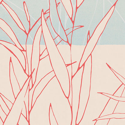 Plain - Custom Sized Mural Wallpaper (per m2)