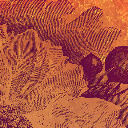 Harvest - Custom Sized Mural Wallpaper (per m2)