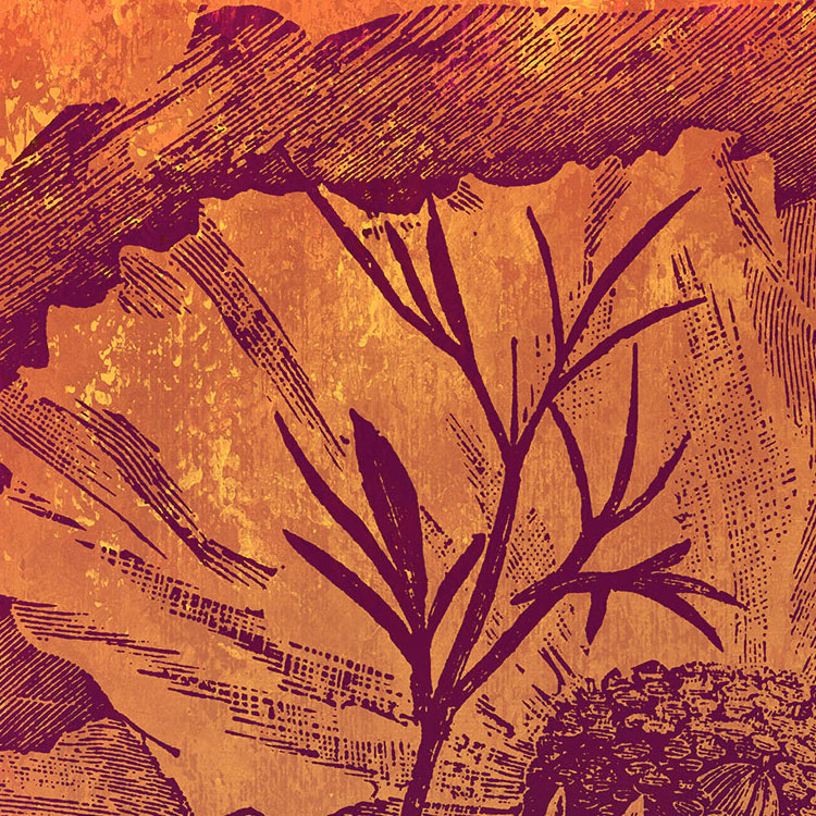 Harvest - Custom Sized Mural Wallpaper (per m2)
