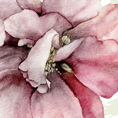 La Flor - Custom Sized Mural Wallpaper (per m2)