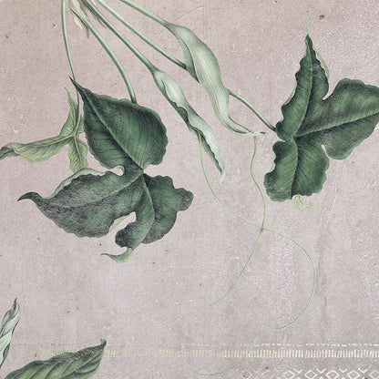 Tropic Concrete - Custom Sized Mural Wallpaper (per m2)