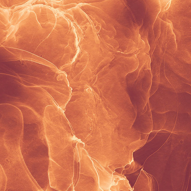 Evoke - Custom Sized Mural Wallpaper (per m2)
