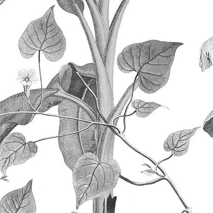 Croissances Monochrome - Custom Sized Mural Wallpaper (per m2)