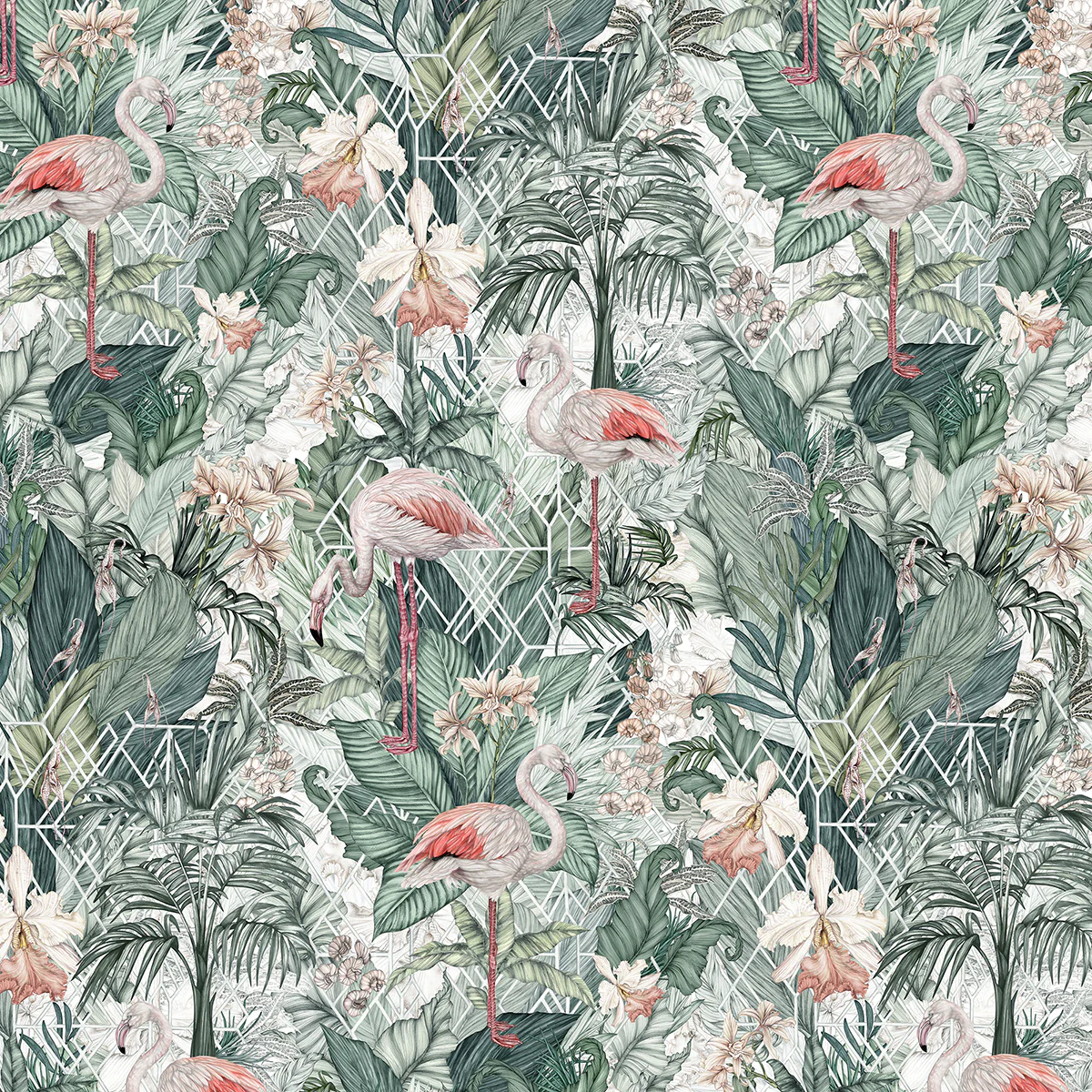 Jimmy Cricket Flamingo Wallpaper
