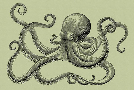 Jules Octopus - Custom Sized Wallpaper Mural (per m2) - Jules 2 Green