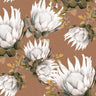 King Protea Wallpaper - Rust