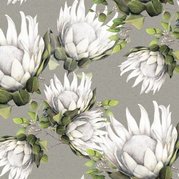 King Protea Wallpaper - Stone