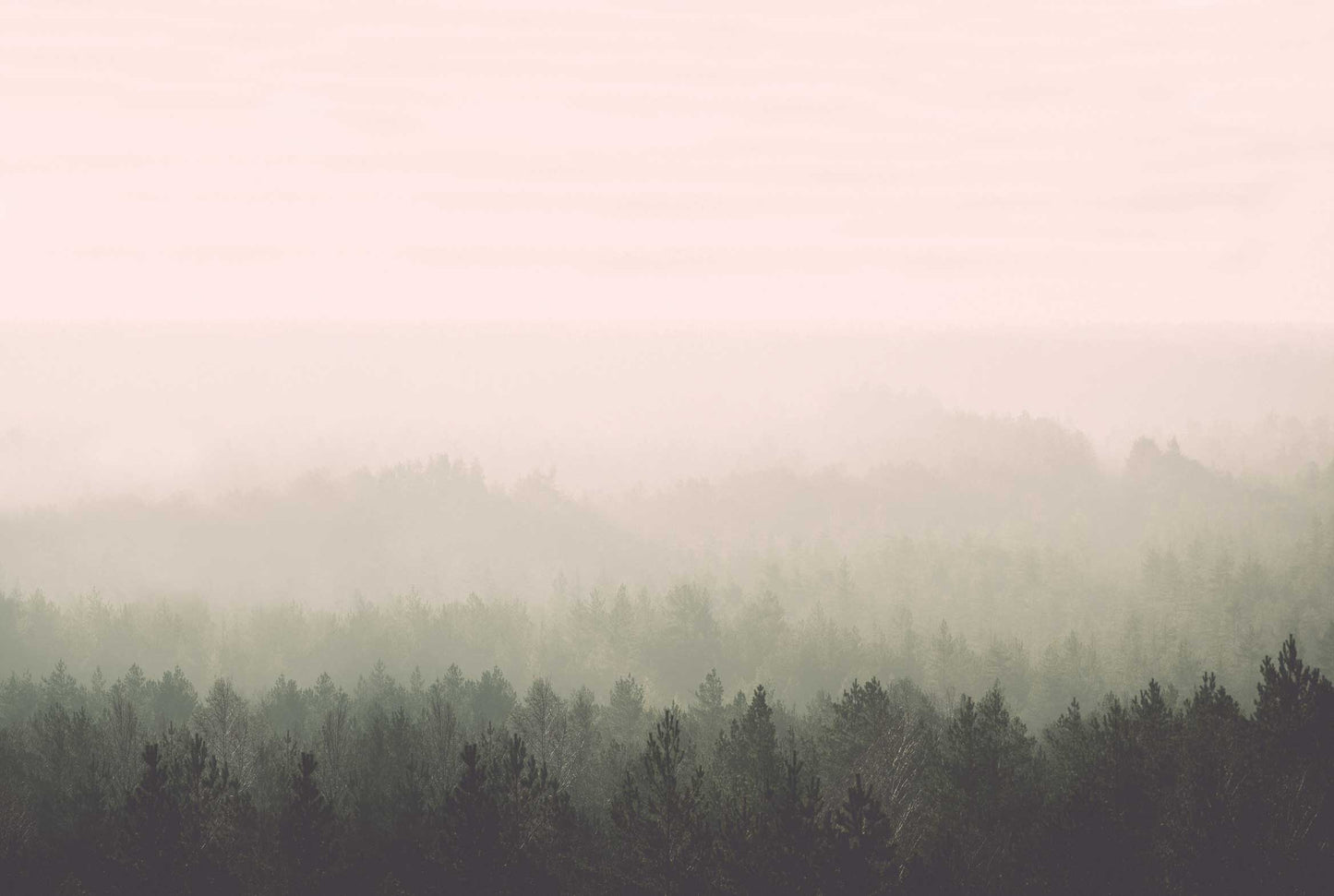 Oslo Vintage Forest - Custom sized wallpaper mural (per/m2) - Original