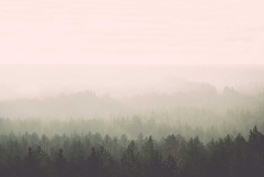 Oslo Vintage Forest - Custom sized wallpaper mural (per/m2) - Original