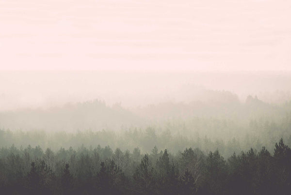 Sample - Oslo Vintage Forest - Custom sized wallpaper mural (per/m2) - Original