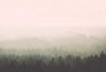 Oslo Vintage Forest - Custom sized wallpaper mural (per/m2) - Original