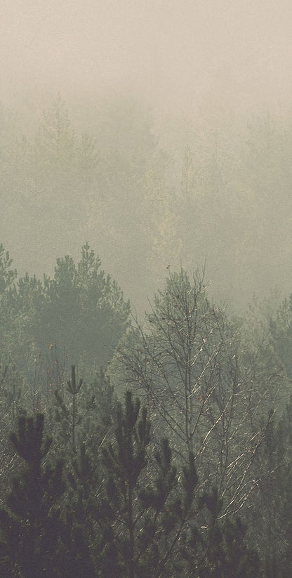 Oslo Vintage Forest - Custom sized wallpaper mural (per/m2) - Original