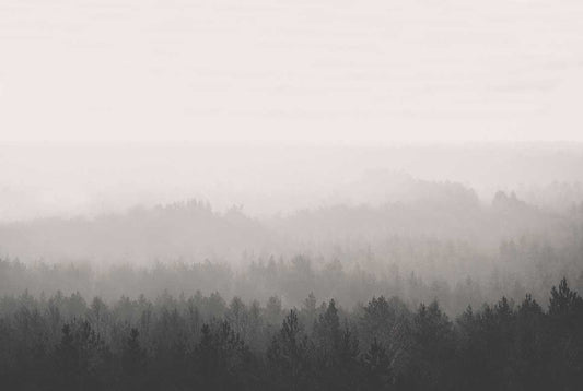 Oslo Vintage Forest - Custom sized wallpaper mural (per/m2) - Smoke Grey