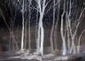 Zephyr - Custom Sized Wallpaper Mural (per m2) - Night