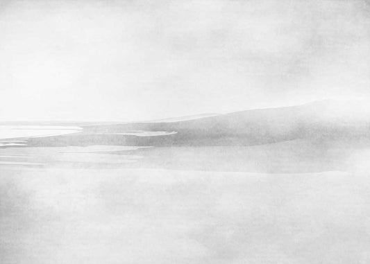 Venice Beach - Custom Sized Wallpaper Mural (per/m2) - Monochrome