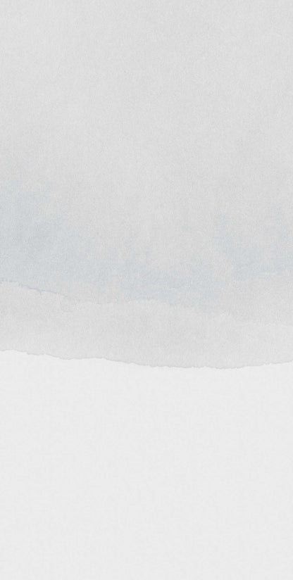 Sand - Mist - Custom Sized Wallpaper Mural (per m2)