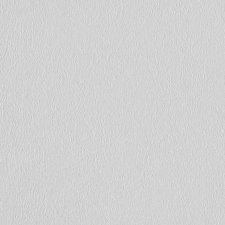 Lapwing Wallpaper - Anaglypta - Paintable