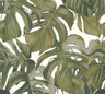 Monstera Dreams Wallpaper - Cream