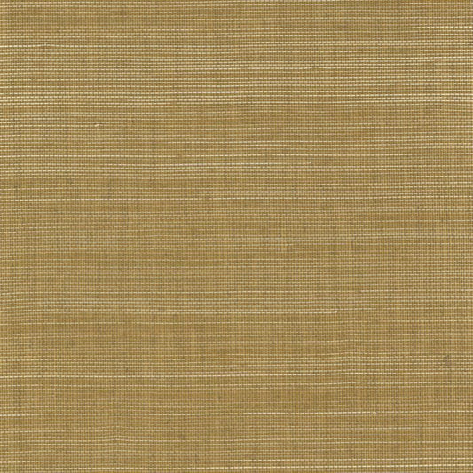 Abaca Natural Fibre WIDE Wallpaper - Copper Camel