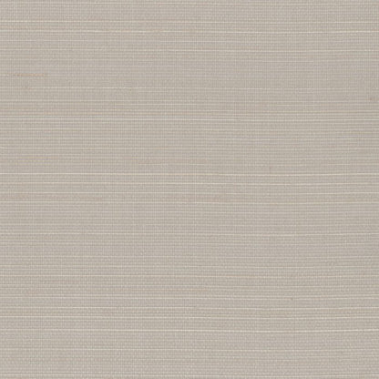 Abaca Natural Fibre WIDE Wallpaper - Shot Taupe
